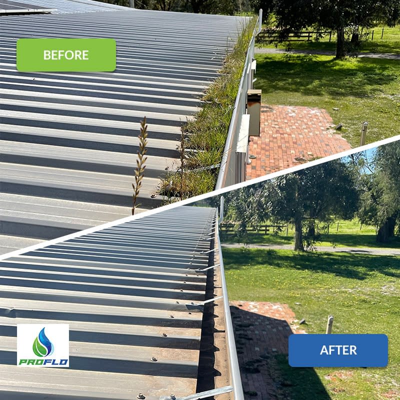 Gutter Cleaning Before & After